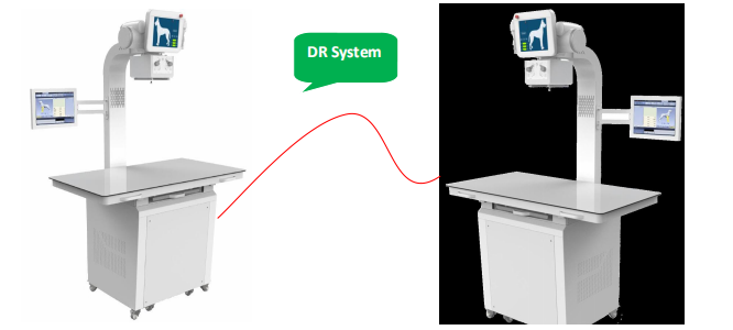 WMV-670B Veterinary Portable X Ray System WMV-670B Veterinary Portable X Ray System